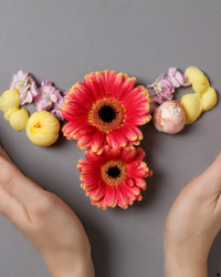 Image gallery marquee