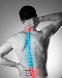 Image gallery marquee