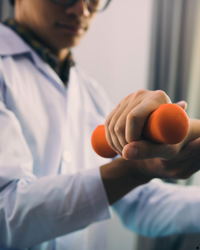 Image gallery marquee