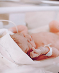 Image gallery marquee