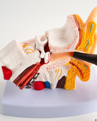 Image gallery marquee