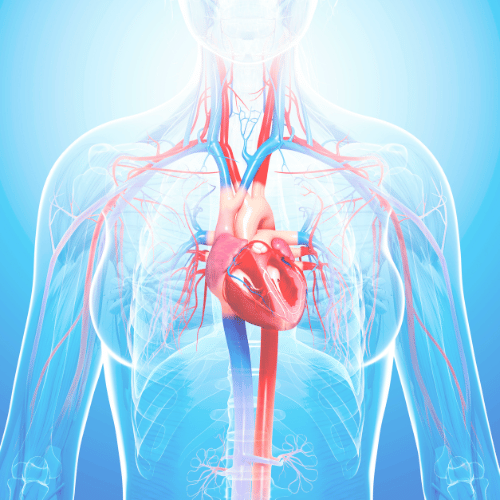 Liposana-Frequenzmedizin-gerät