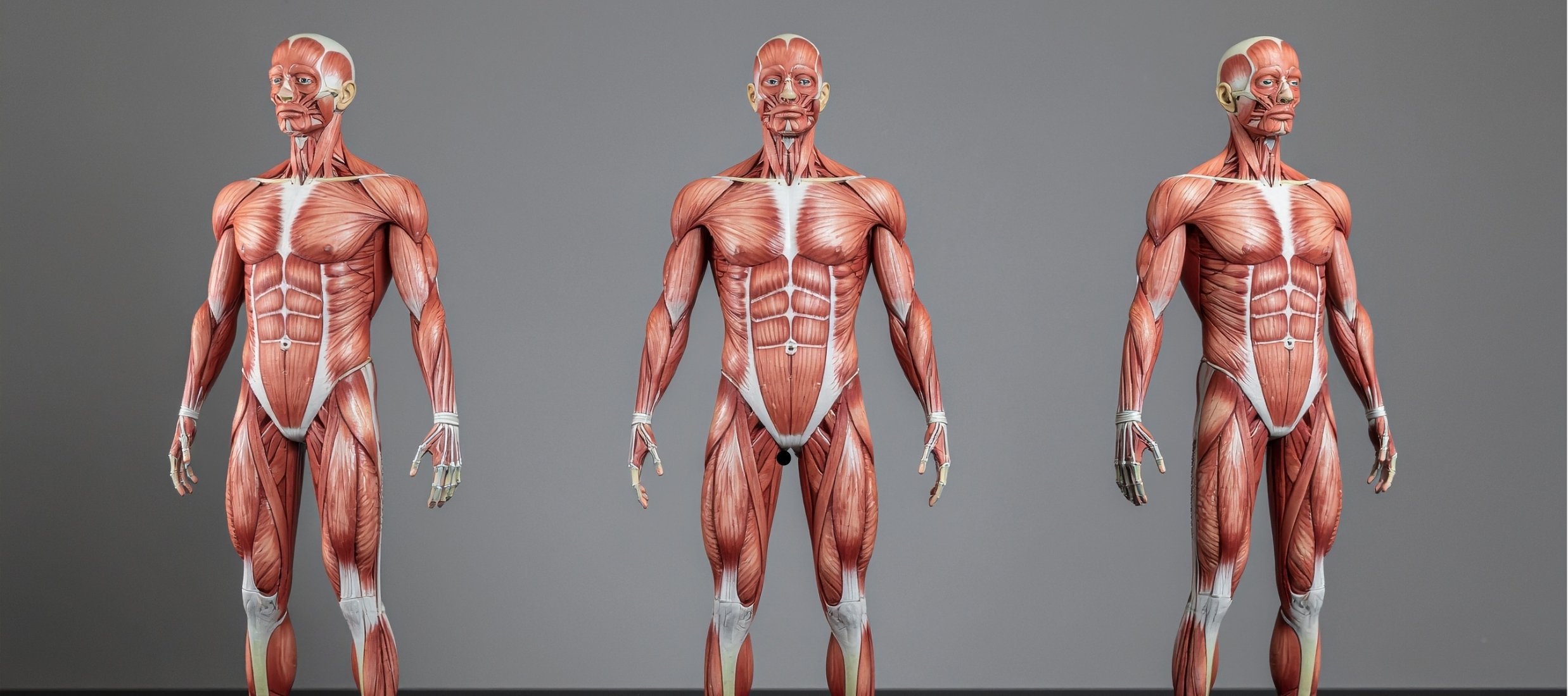 Liposana3+-aesthetics pratice-So funktioniert das Liposana3+